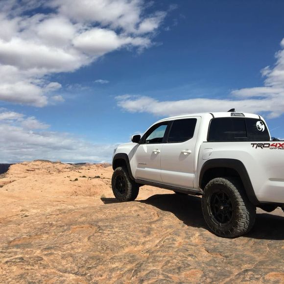 Meet your Posher, Travis - Picture 1 of 1